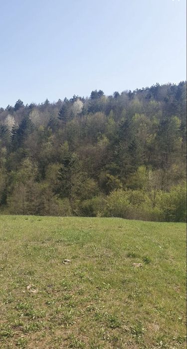 Vând teren intravilan