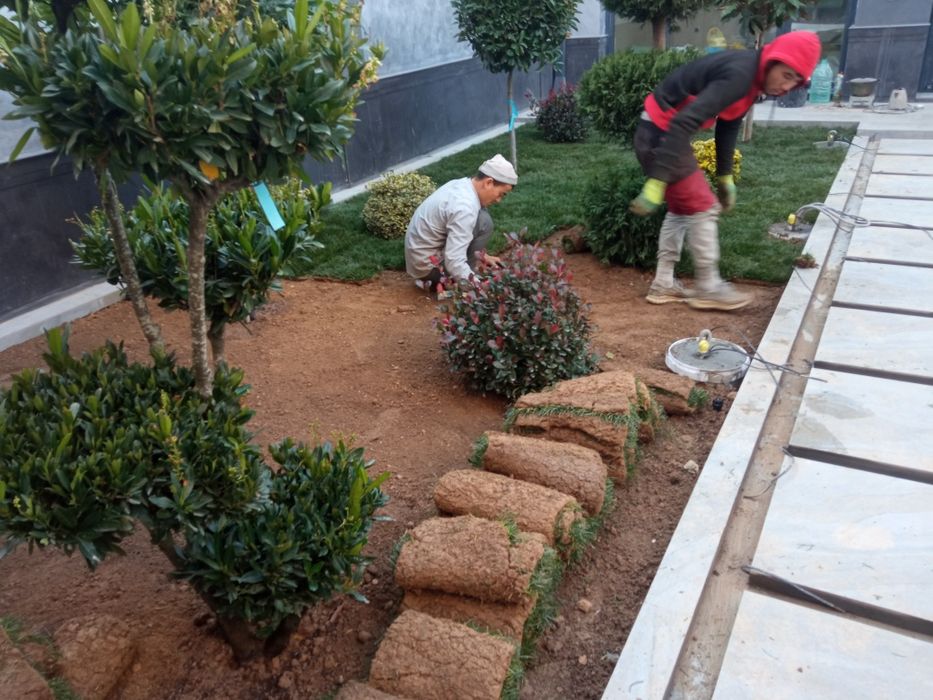 Газон газоны ландшафтный дизайн поливной система автоматика