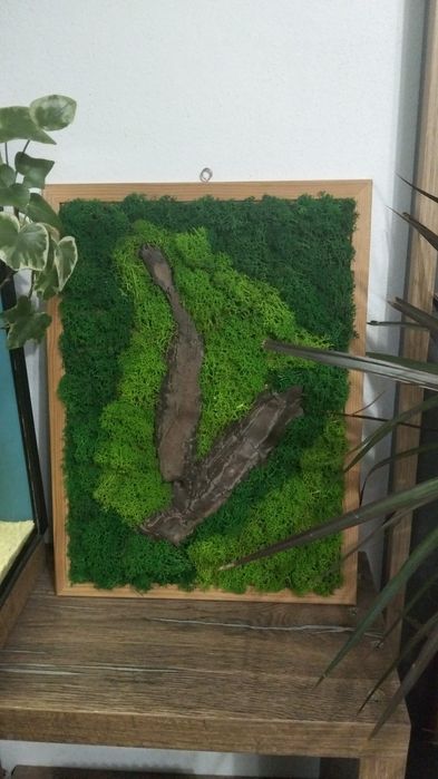 Vand tablou licheni diferite dimensiuni
