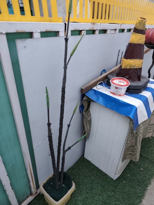 оргстекло в наличии