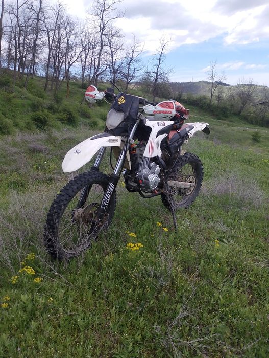 Beta rr 200 cc factory
