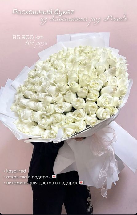 101 роза высокая