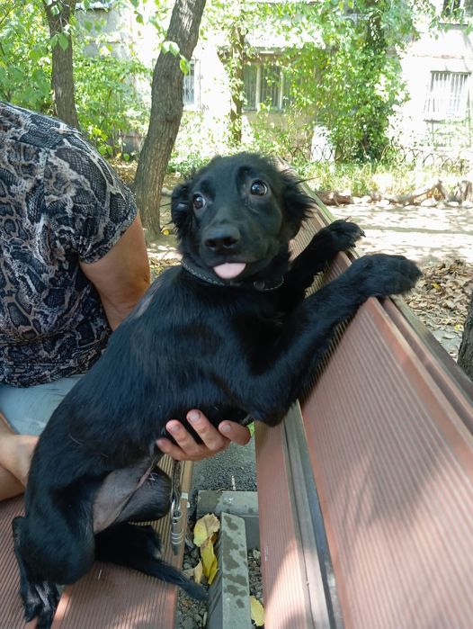 Звоночек Стерильная девочка