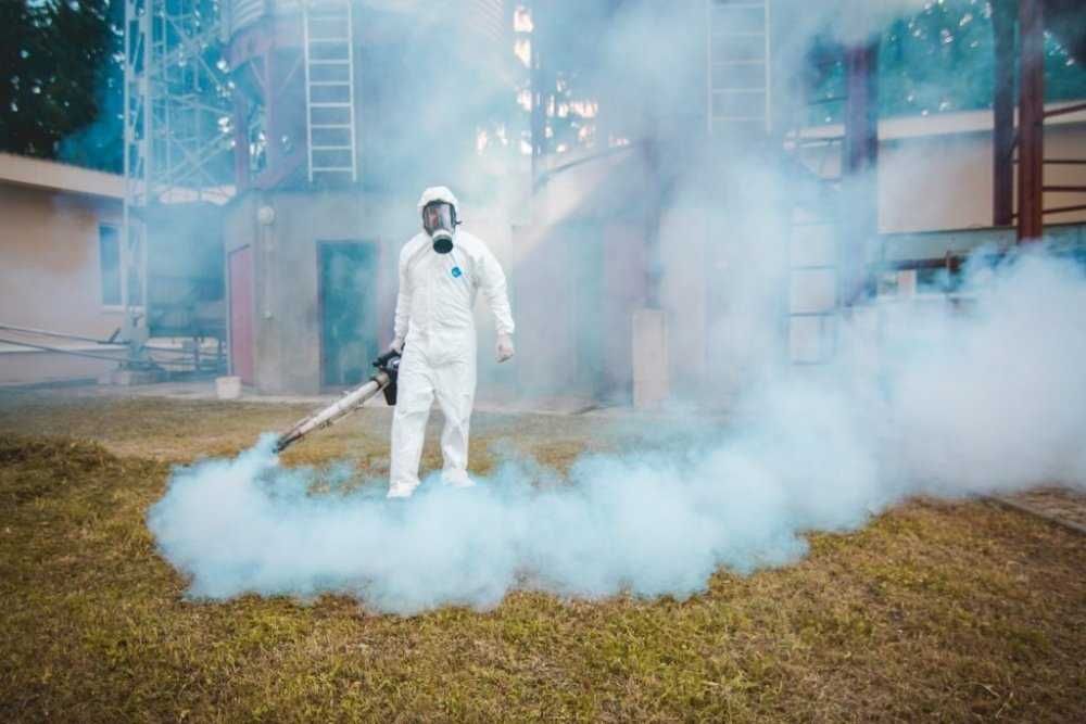 Клопы. Дезинсекция и уничтожение тараканов,  блох, крыс, мышей.