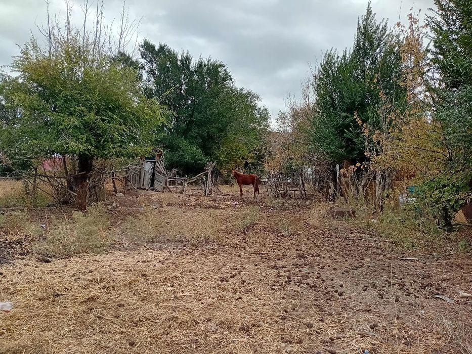 Дом в село Бериктас