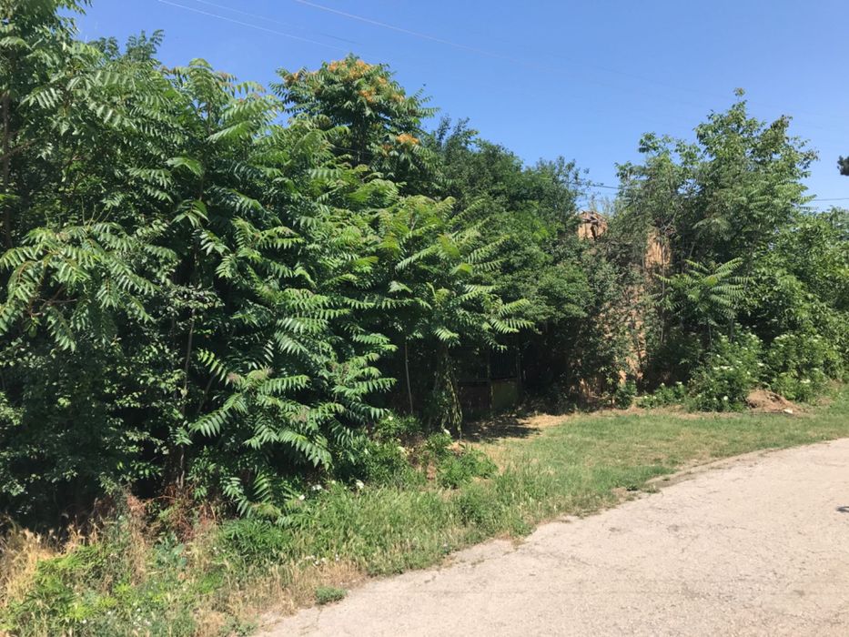 Продава се Къща в Плевен, Идеален център - 1100 кв.м за 12 €/кв.м - Снимка #2