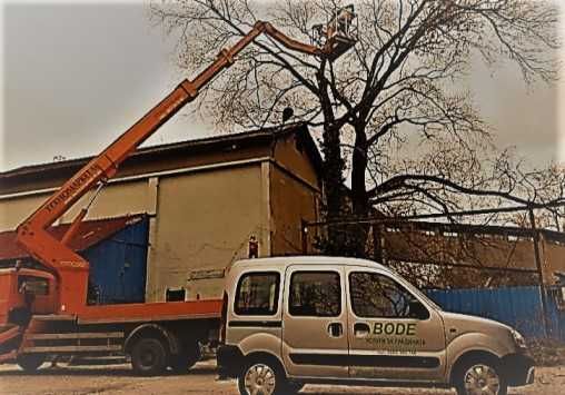 Подрязване на овощни дървета