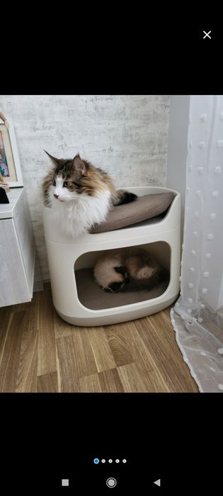 Cusca transport pat casuta cotet caini pisici litiera acoperita ikea