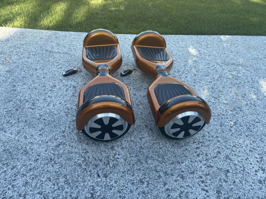 Hoverboard Monkey