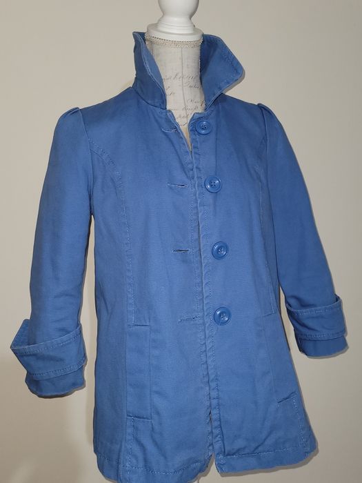 Hainuta pictata manual