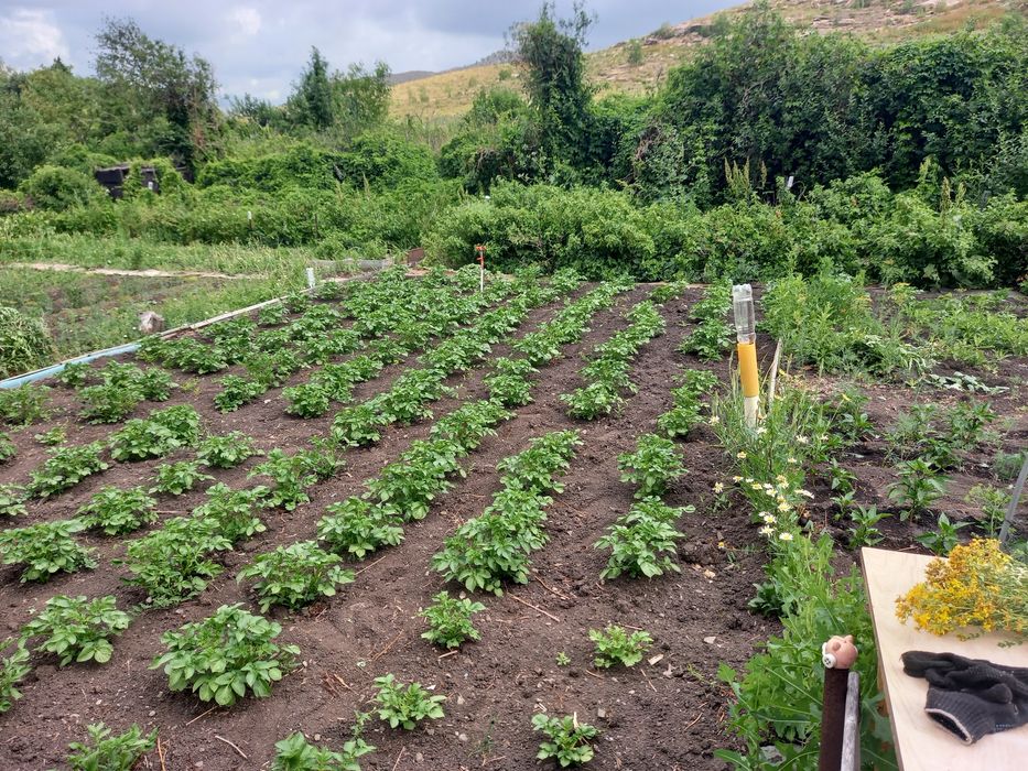 Продам дачу п. Кожохово