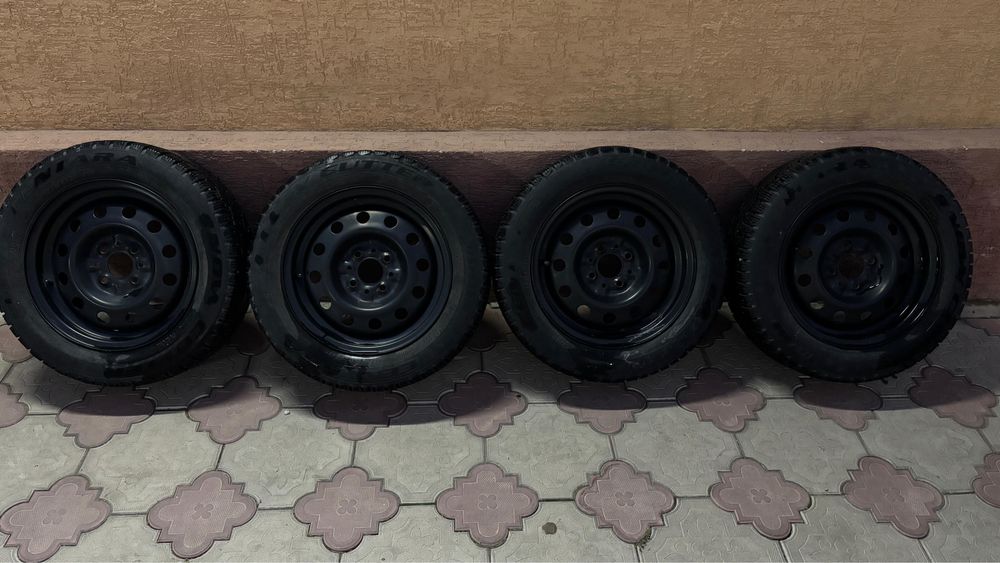 Болоны и диски колпоки