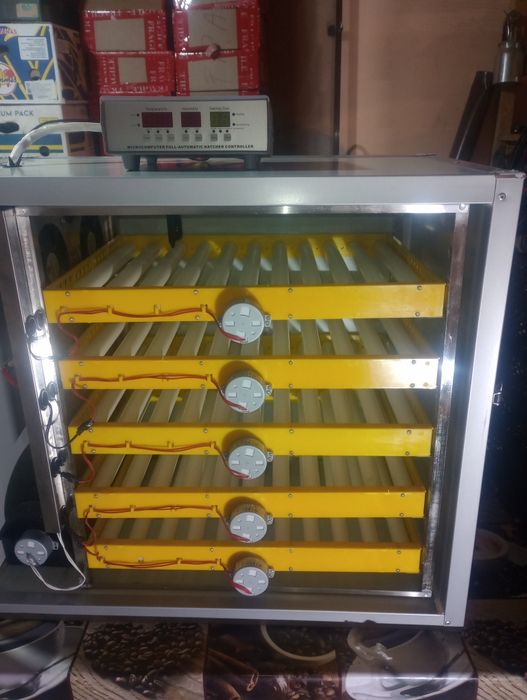 Clocitoare 300  ouă