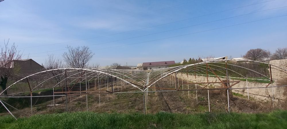 Yer sotiladi issiqxonasi bilan