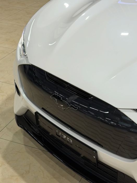 Ford mustantang-E gt Performance