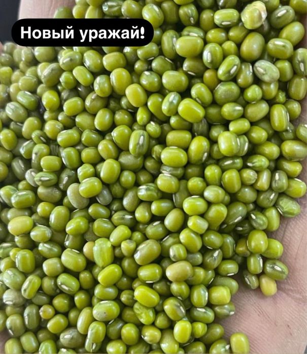Маш рис фасоль нут лобия