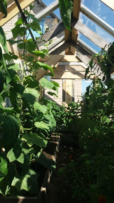 Продам дачу в с/о Борки