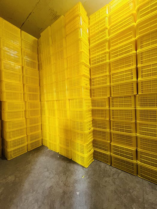 Yashik. Яшик. Meva-sabzavot uchun plasmassa yashiklar.