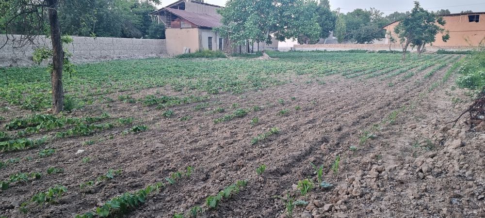 Ховли ер сотилади