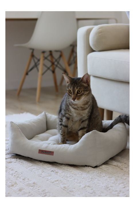 Продам лежак для животных