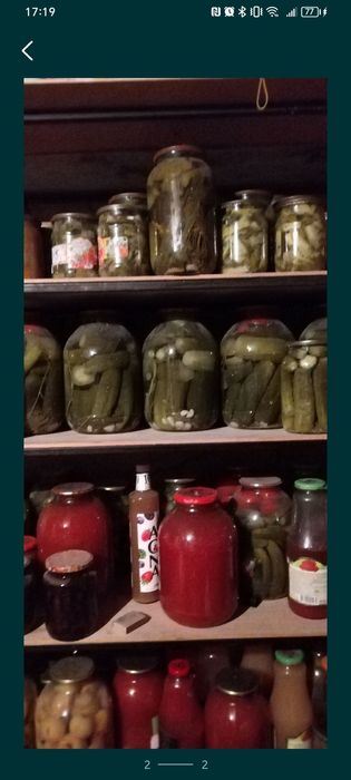 Маринованные огурцы и помидоры