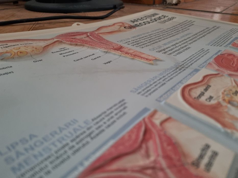 Plansa Afecțiuni Ginecologice Uzuale