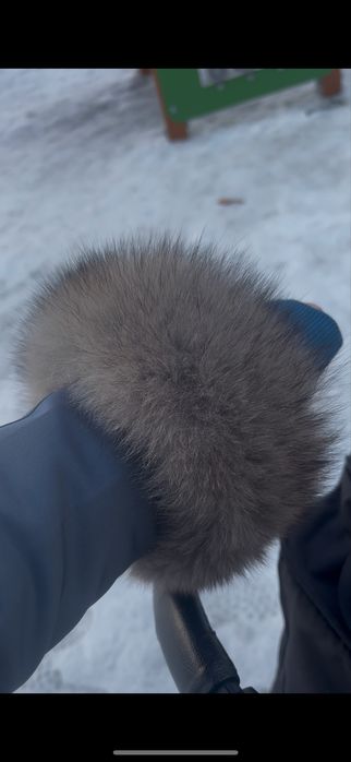 Парка в новом состоянии