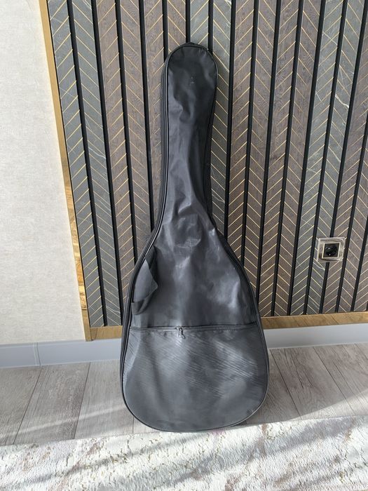 Акустическая гитара agnetha