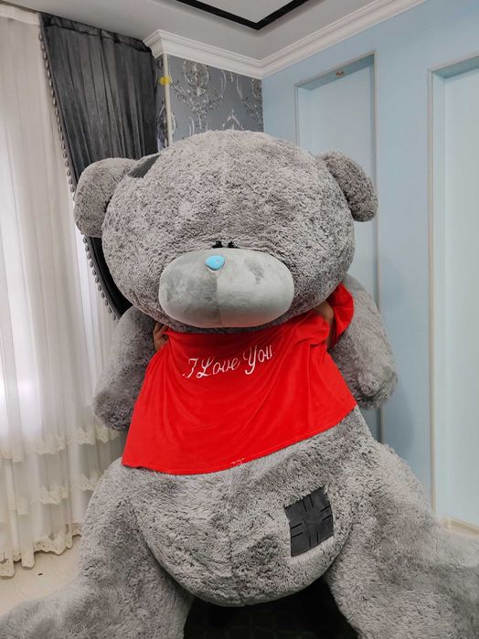 Teddy ayiqchasini eng kattasi
