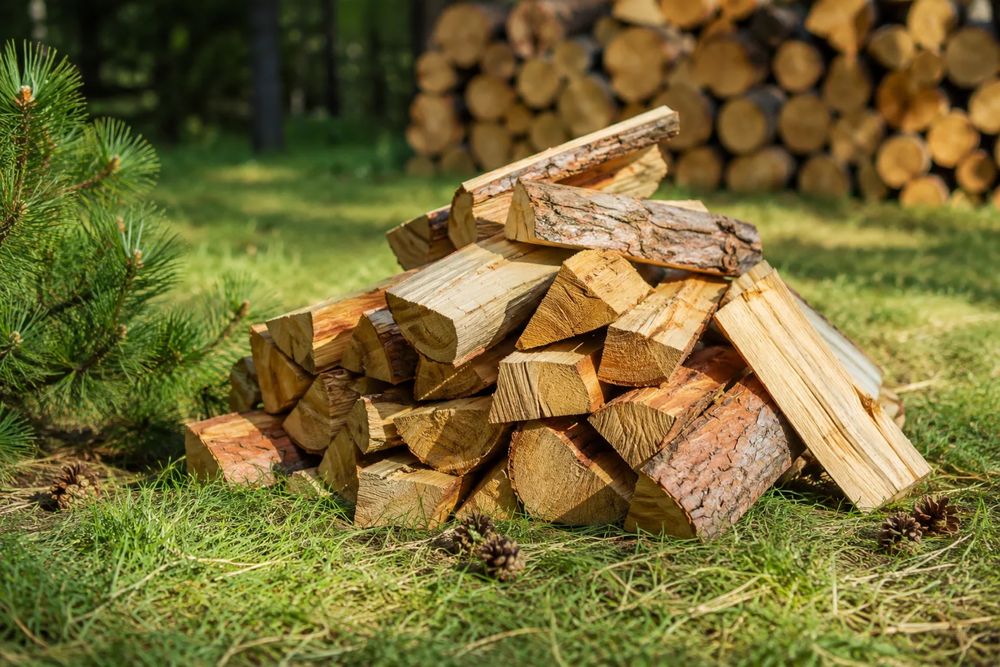 Дрова бесплатно.