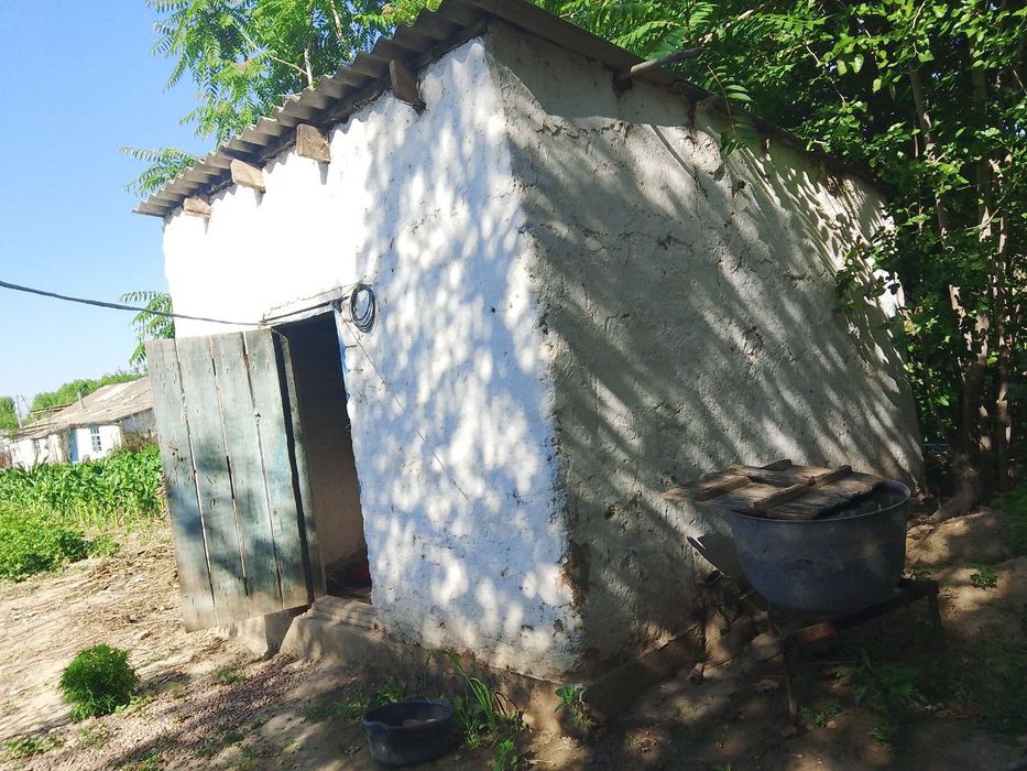 Бука МФИ Qudayqul mahallasi 84 uy