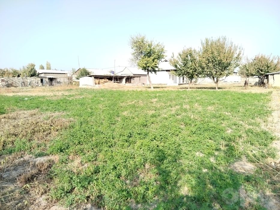 Уй сотилади 19-сотикли 45000 $ келишамиз