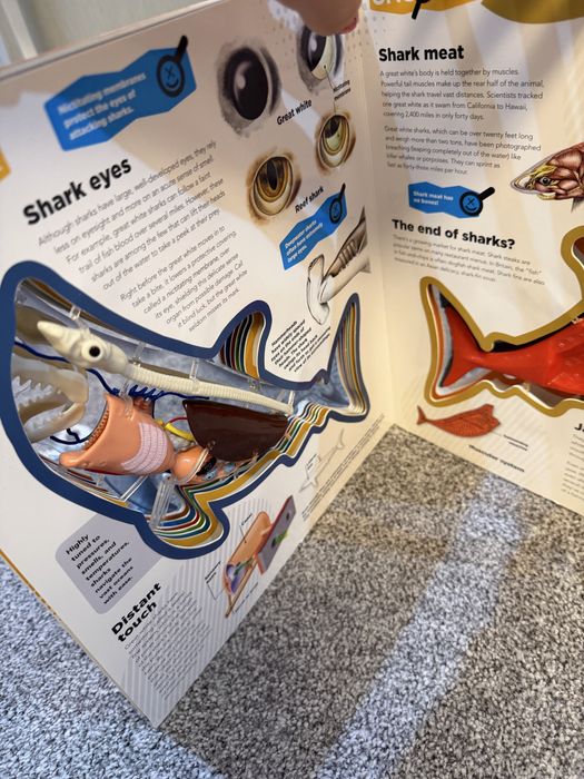 Enciclopedie rechin engleza