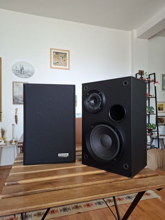 Bose Interaudio 2000XL