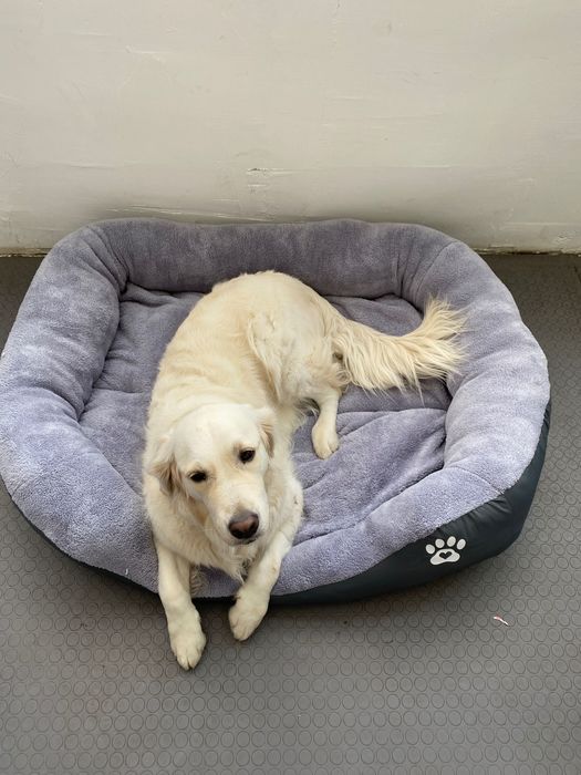 Легло за голямо куче с лапичка ХХЛ сиво
