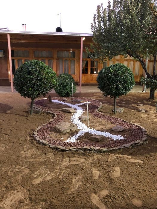 Gazon ekamiz sifatli 100%