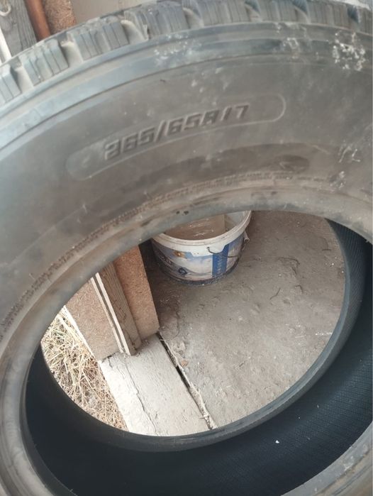 Продом покрышки зиммие