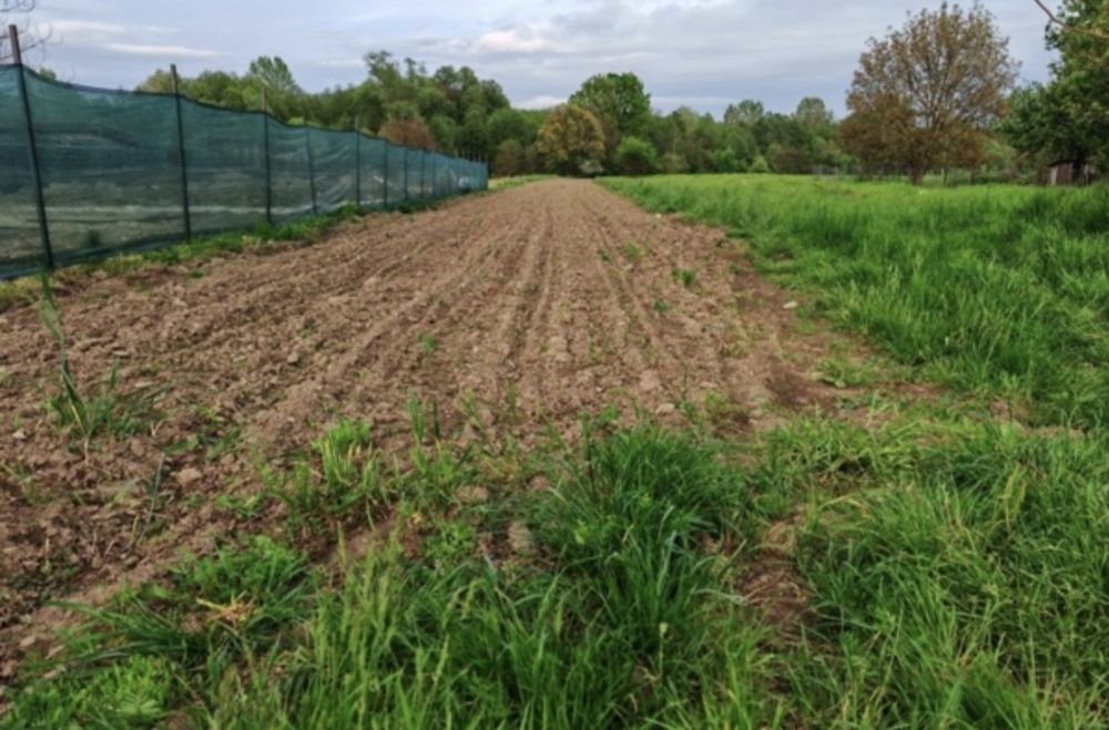 Teren cartier  Barsesti