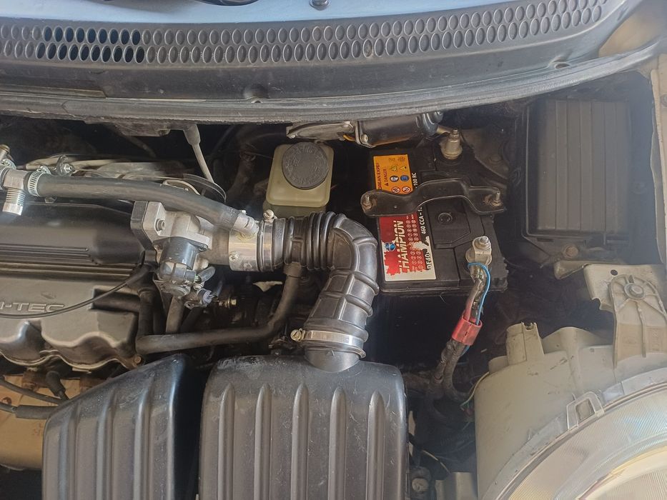 Матиз простой сотилады