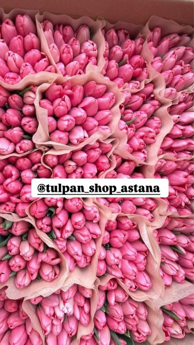 Крупные тюльпаны