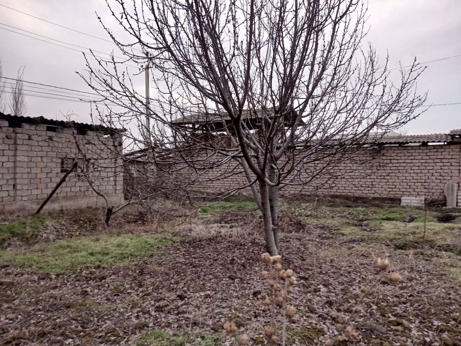 Срочно Уй сотилади янги Узбекистон