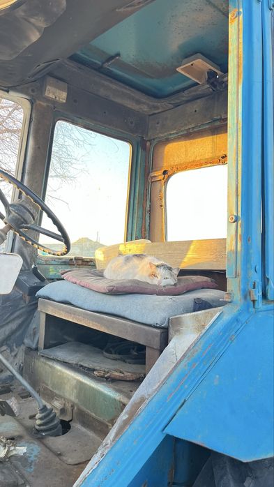 Трактор мтз 80, касилка к4,