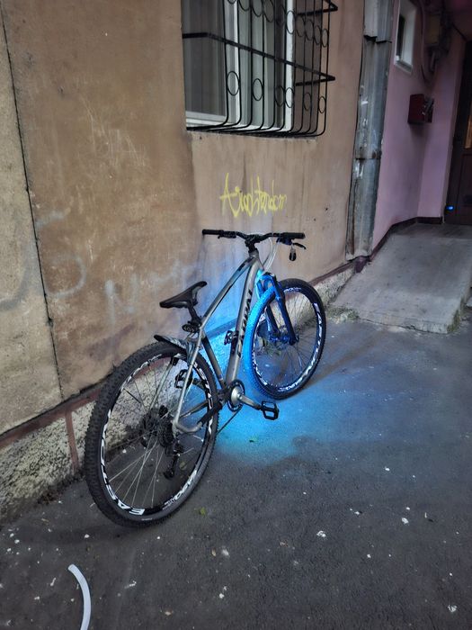 Carpat invictus hardtail