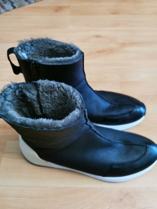 Ash shoes  premium