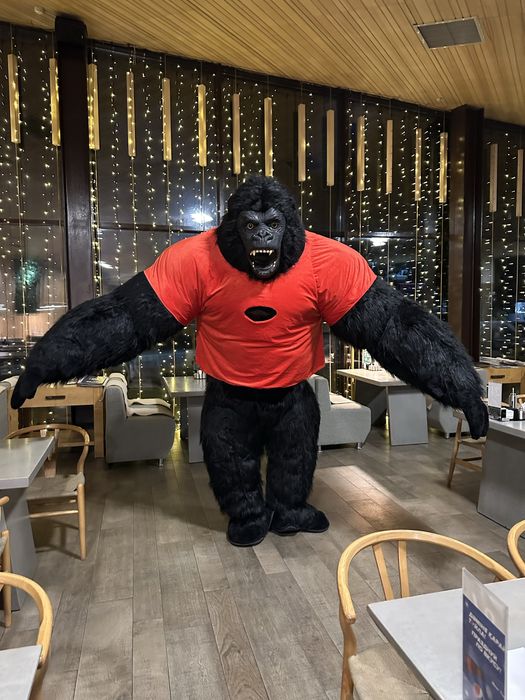 Кинг Конг, Аниматор , Поздравление