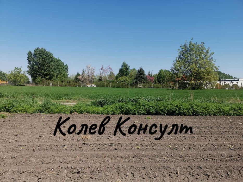 Продава се Парцел в с. Ягодово, Област Пловдив - 748 кв.м за 121 €/кв.м - Снимка #1