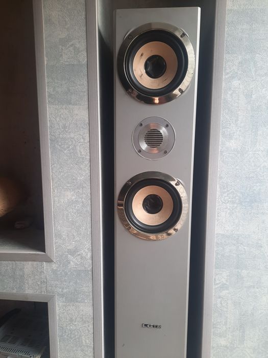 Kalonka usilitr sotiladi