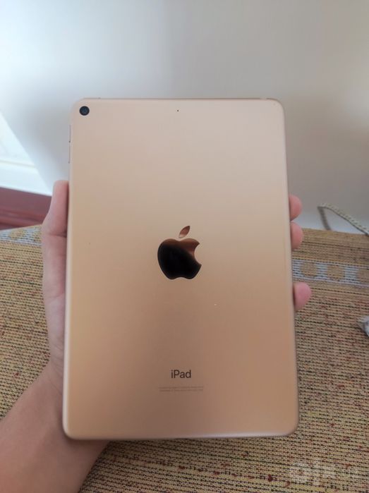 ipad mini 5 LL/A