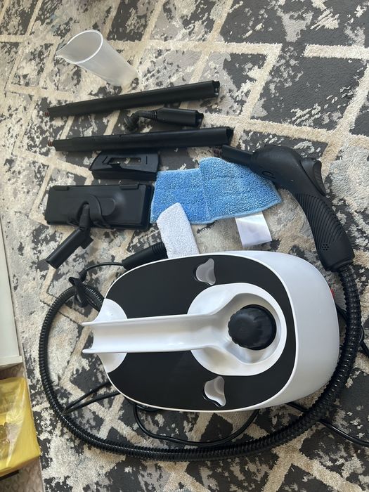 Пароочистииель в аренду