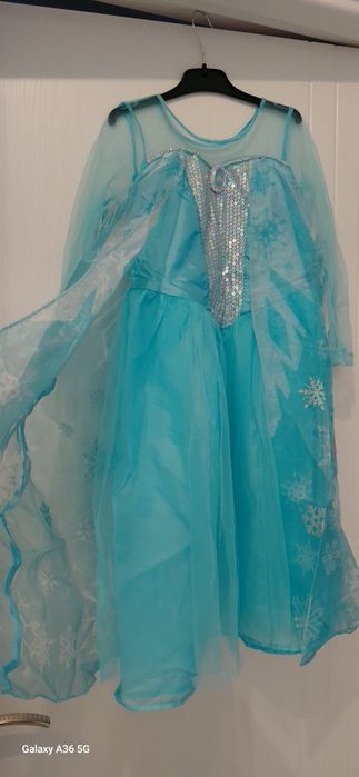 Rochita Frozen,Zana Zapezii